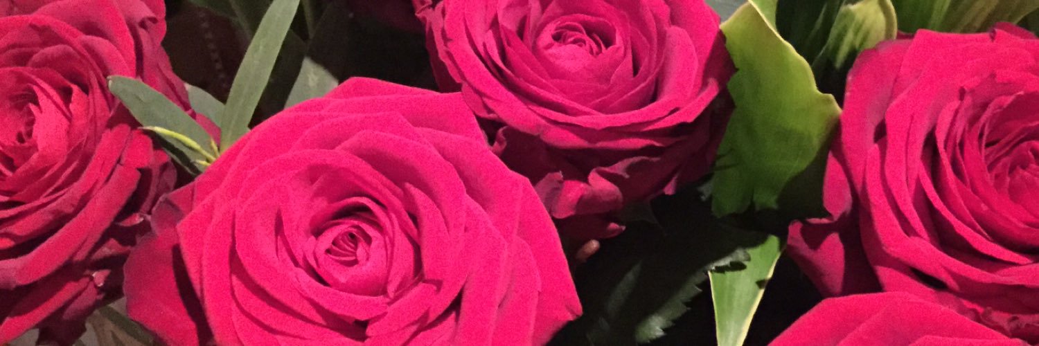 Tina English banner