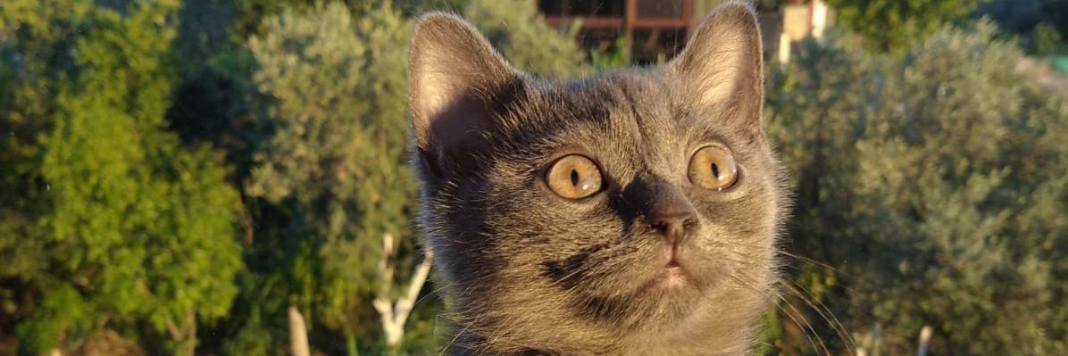 yusufkk16's profile banner image