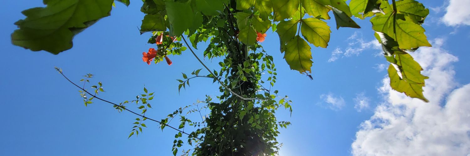 𝑭𝒖𝒏 🌐 Funft.eth banner