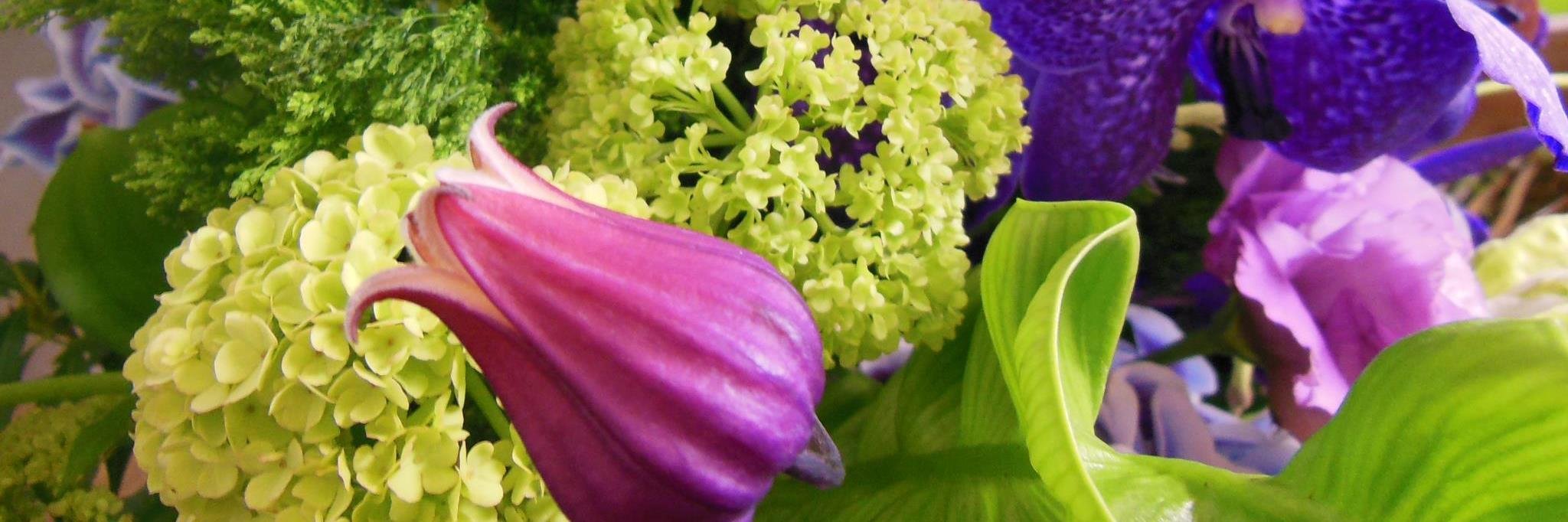 ecotta's profile banner image