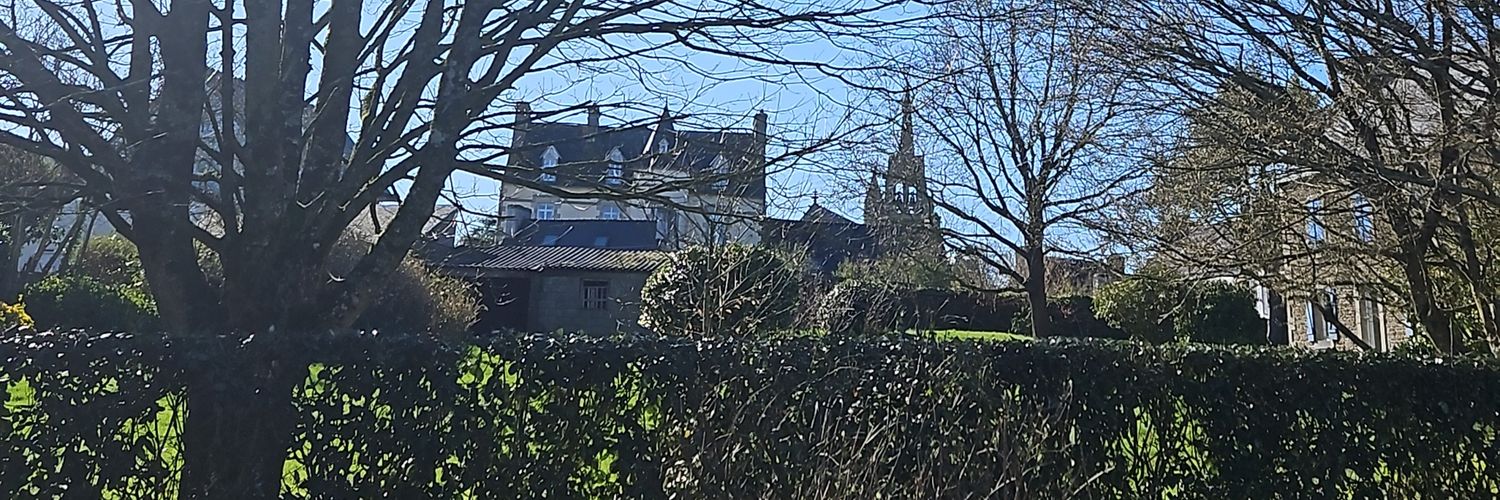 Emerpoint Kelt banner