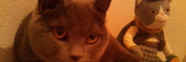 murekinnoto Profile Banner