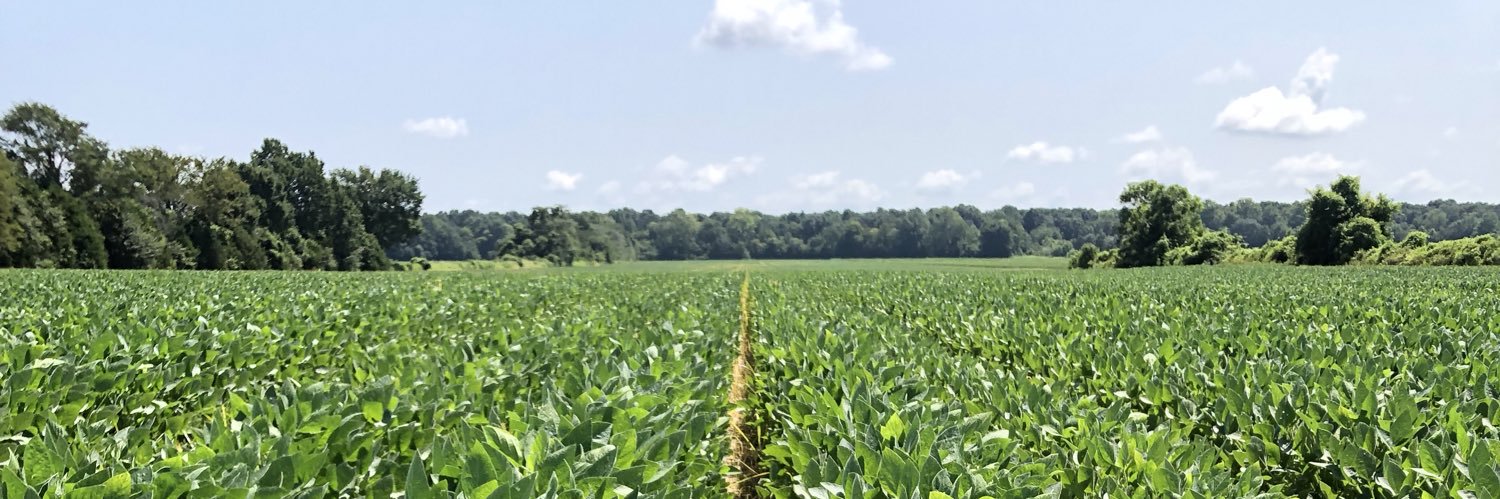 AgronoGirl's profile banner image