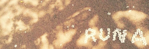 runa710runa's profile banner image