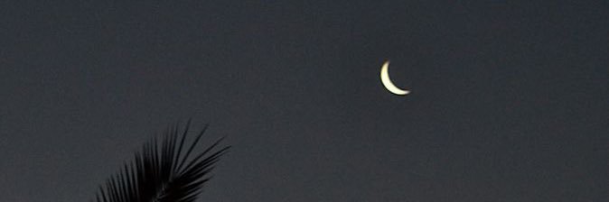 dn_mjd's profile banner image