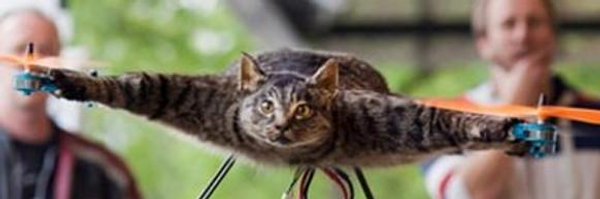 mondaymatin Profile Banner