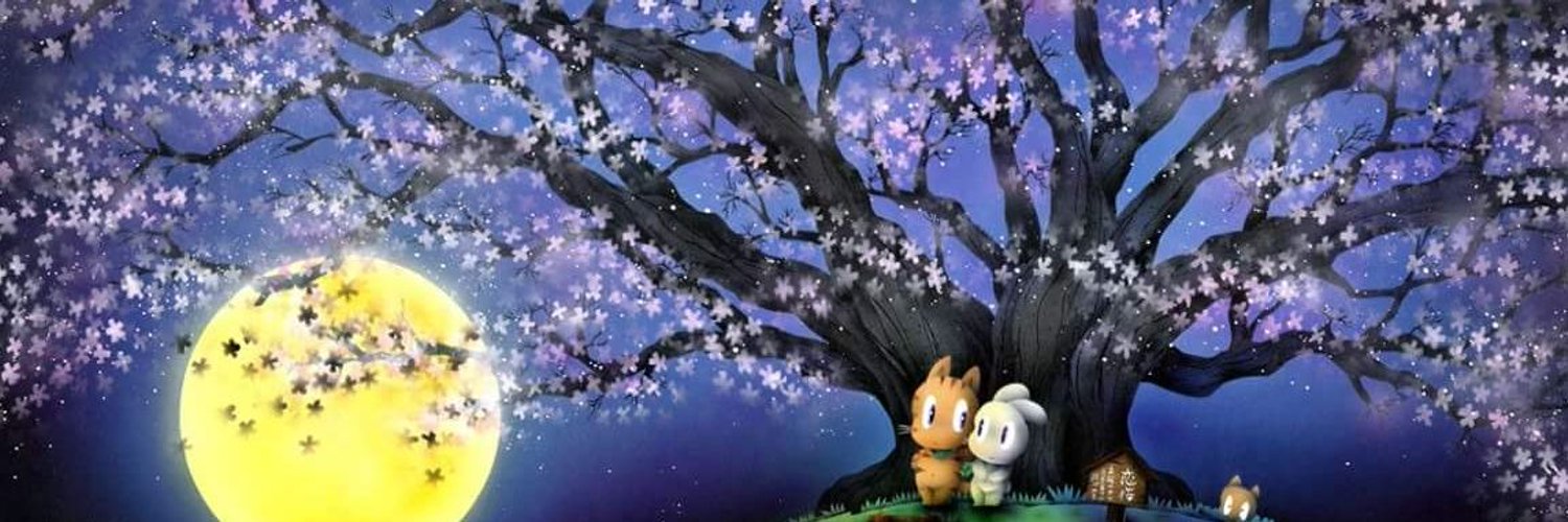 adnap_2's profile banner image