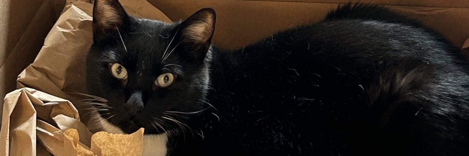sarahptracy's profile banner image