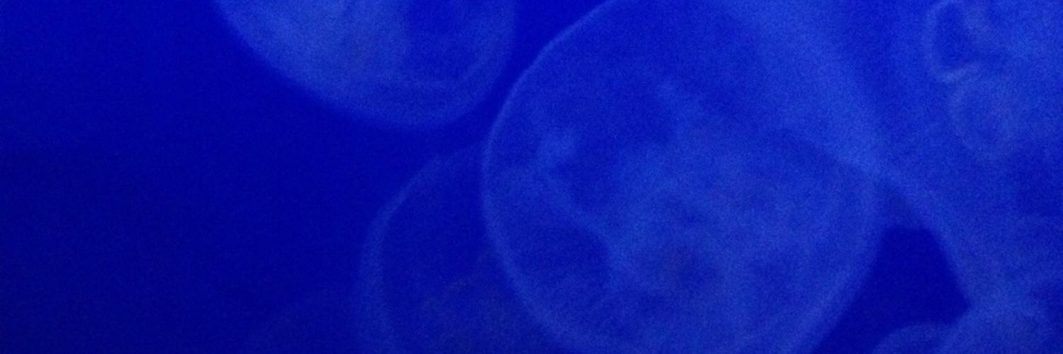 jellyfishsurf's profile banner image