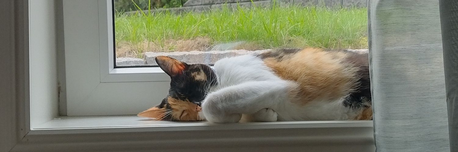 PipiDescalzi's profile banner image
