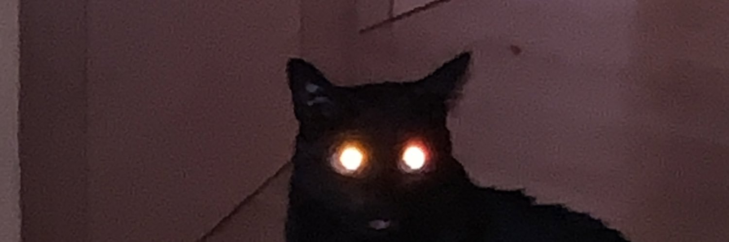 ki66o__'s profile banner image