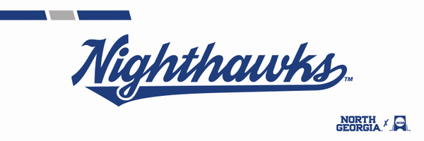 UNG_Nighthawks Profile Banner