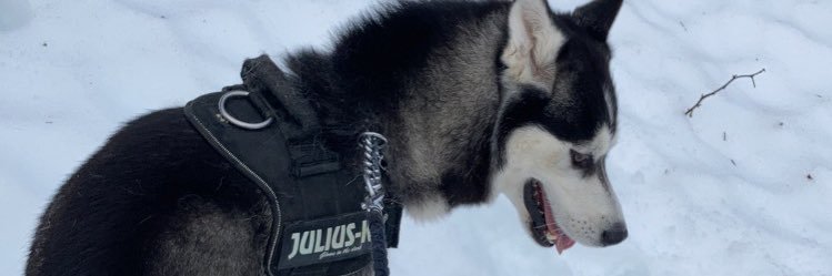 fmathis_c's profile banner image
