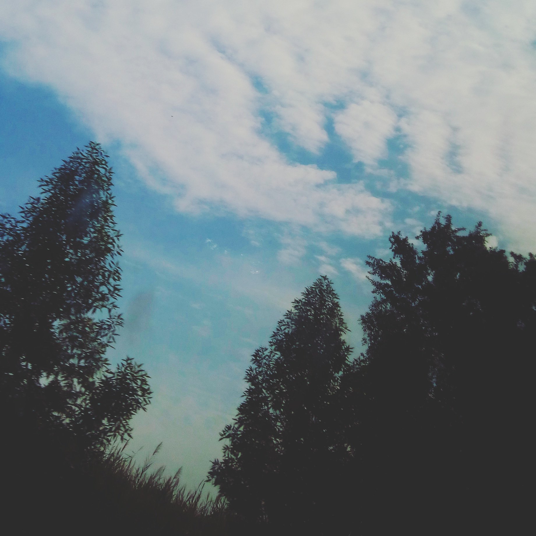 TheNoodleLady's profile banner image