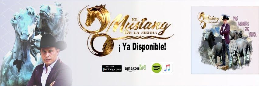 mustangsierra's profile banner image