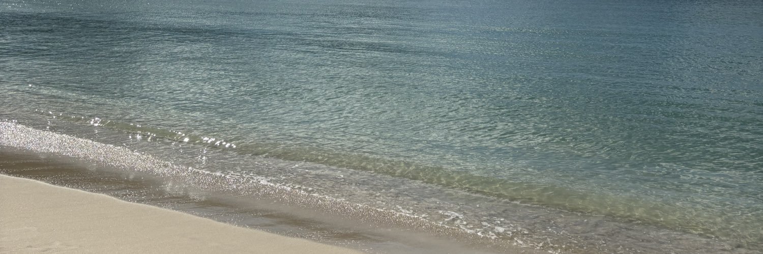 _nicole1110's profile banner image