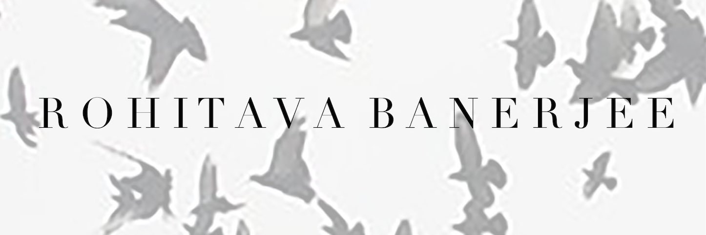 RohitavaNYC's profile banner image