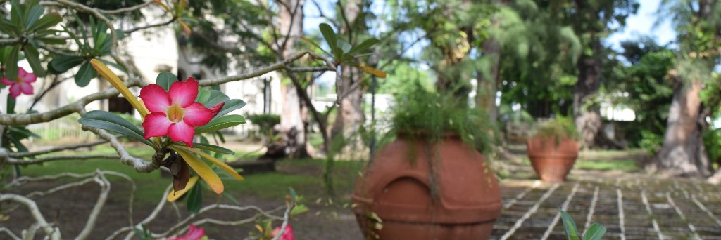 SuntoursB's profile banner image