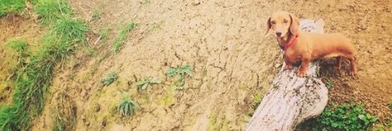 EllieLewis8's profile banner image