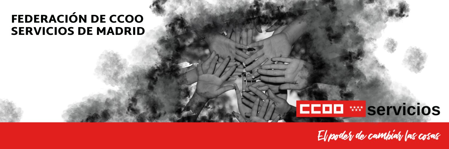 Federación de Servicios CCOO Madrid banner
