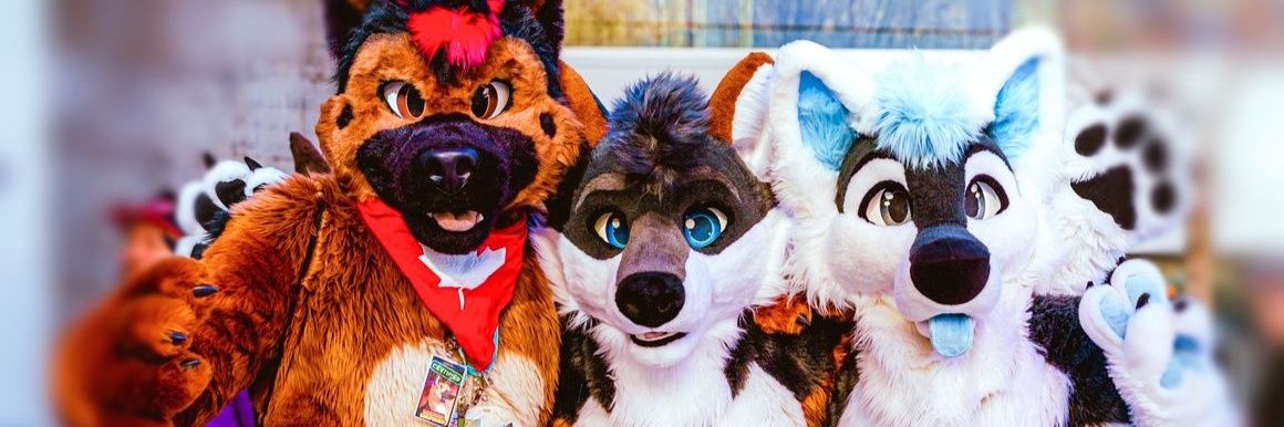 ElijahHusky's profile banner image