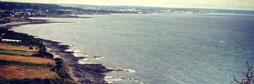 Super_Saiyan69 banner