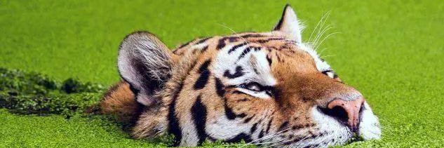 hunter_525's profile banner image