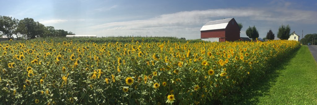 SamFarber84's profile banner image