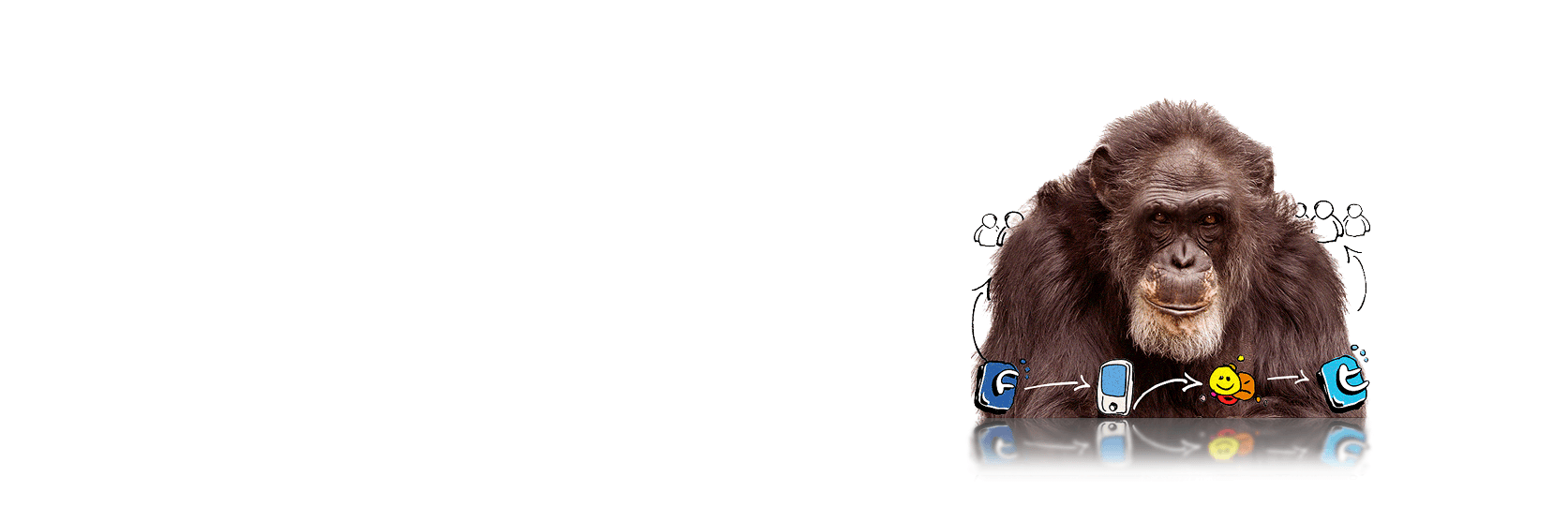 ApeRedMedia's profile banner image