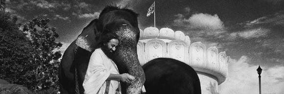 ayushikejriwal's profile banner image
