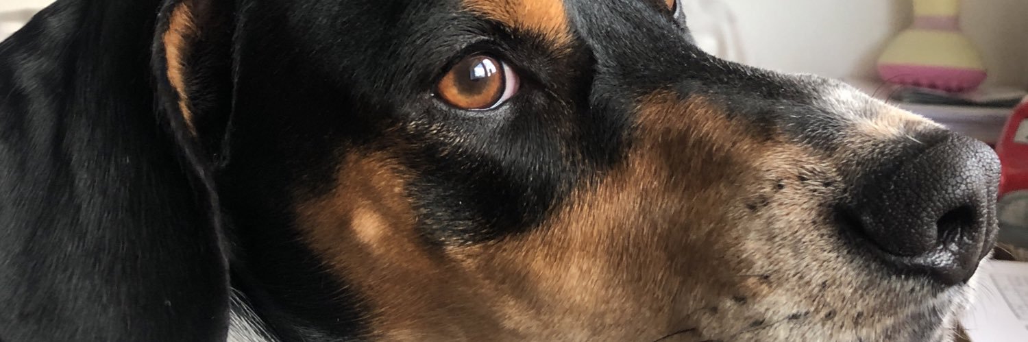 Berta Esteve Mach banner