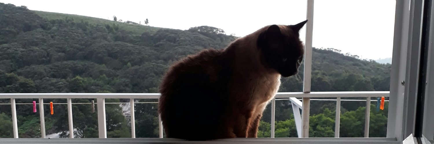 felisaduran's profile banner image