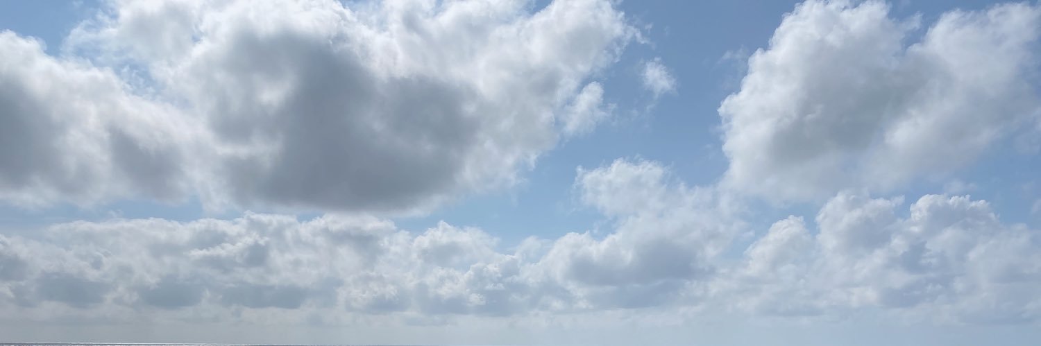 柚 banner