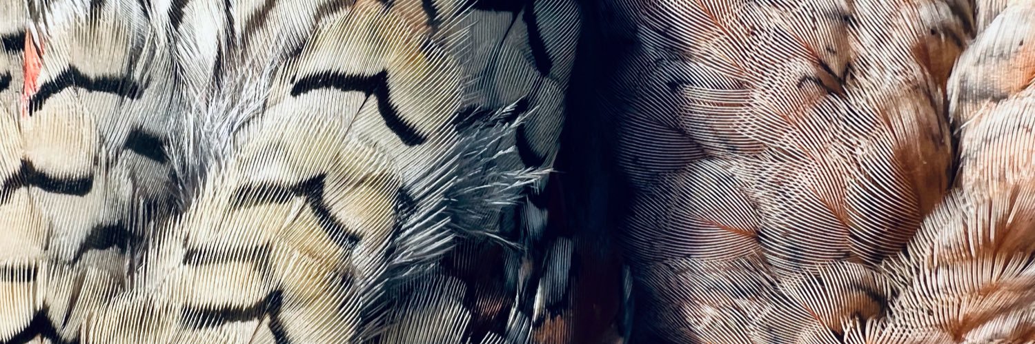 Mike_L_Neiduski's profile banner image
