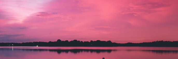 xox banner