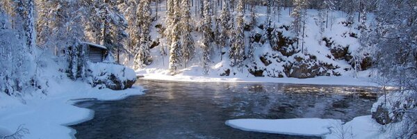 Gr8Sti Profile Banner