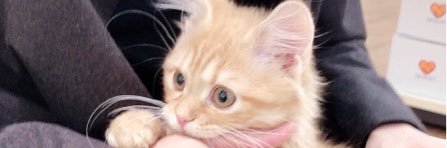 yuusukeshann's profile banner image