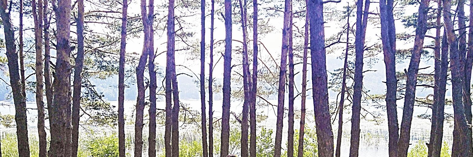 EsmaTurkmen's profile banner image