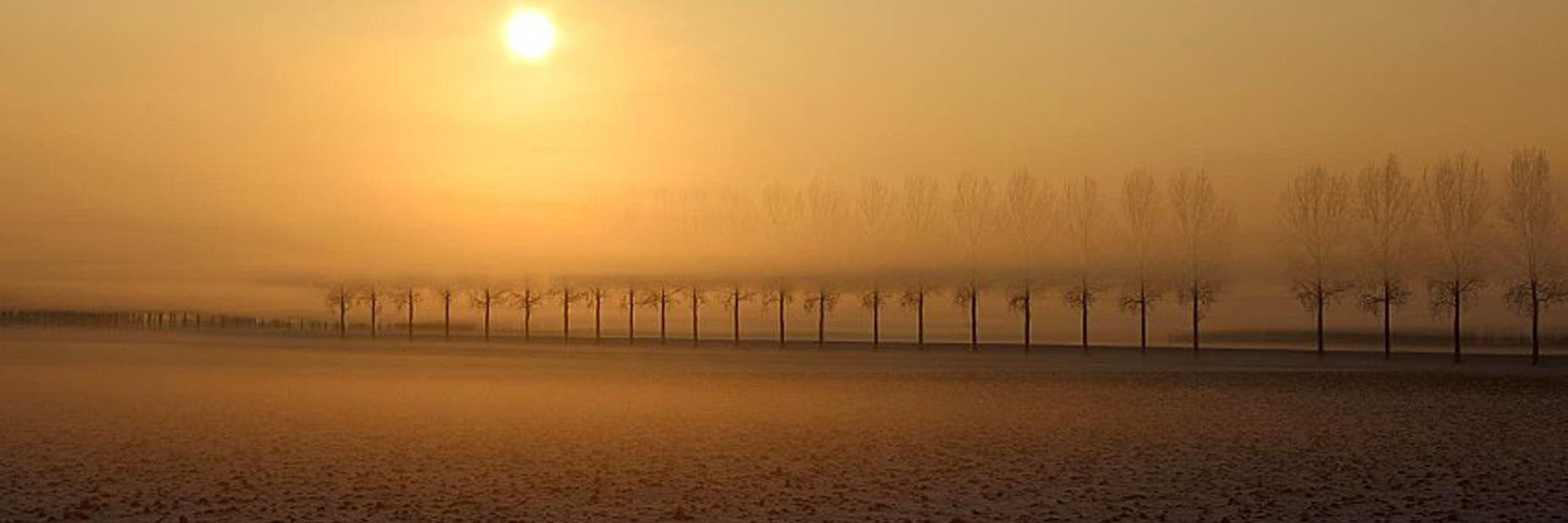 BN DeStem ZVL banner