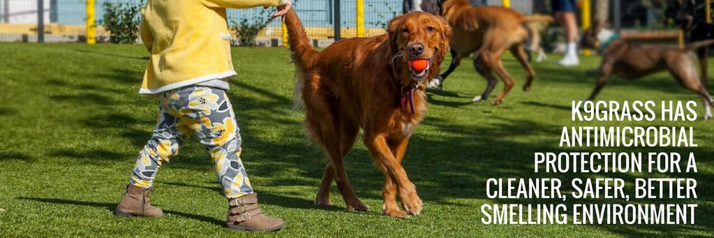 ForeverLawn PC banner