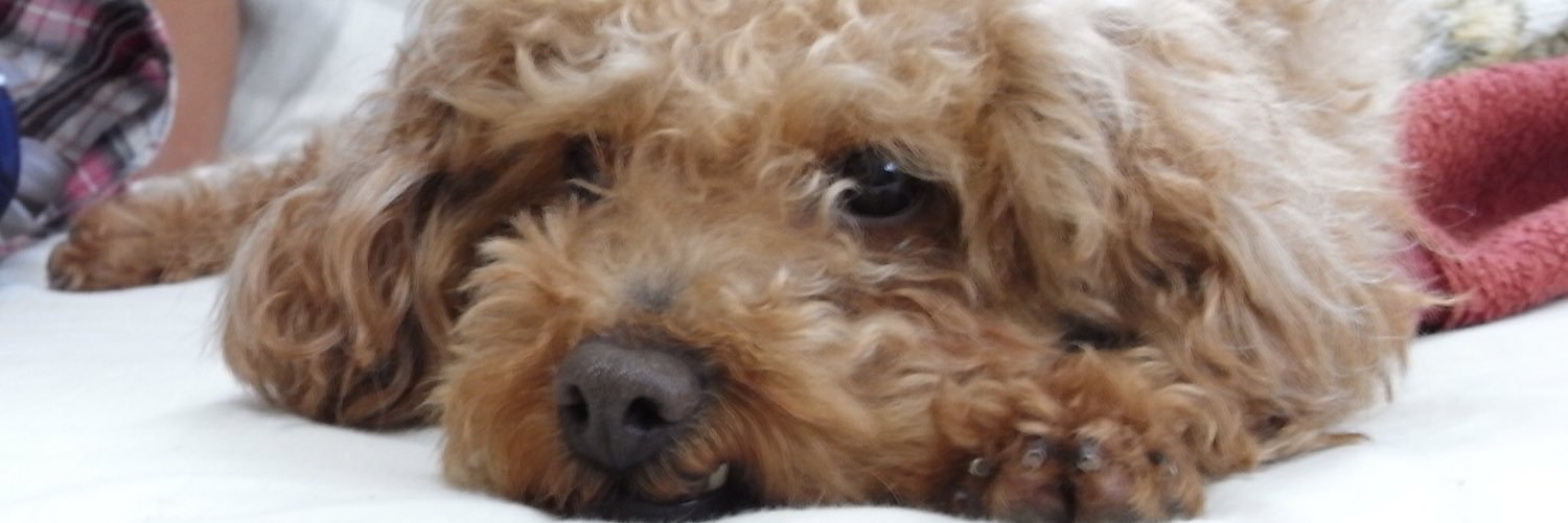 kurobi705's profile banner image
