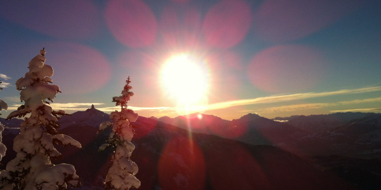 Katrina Strand banner