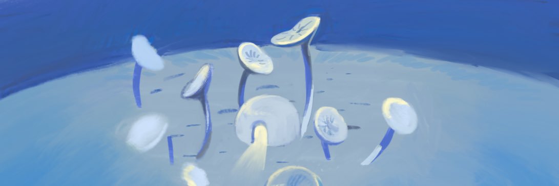 penaeight's profile banner image