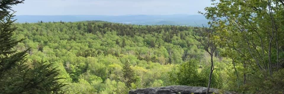 DRuss53's profile banner image