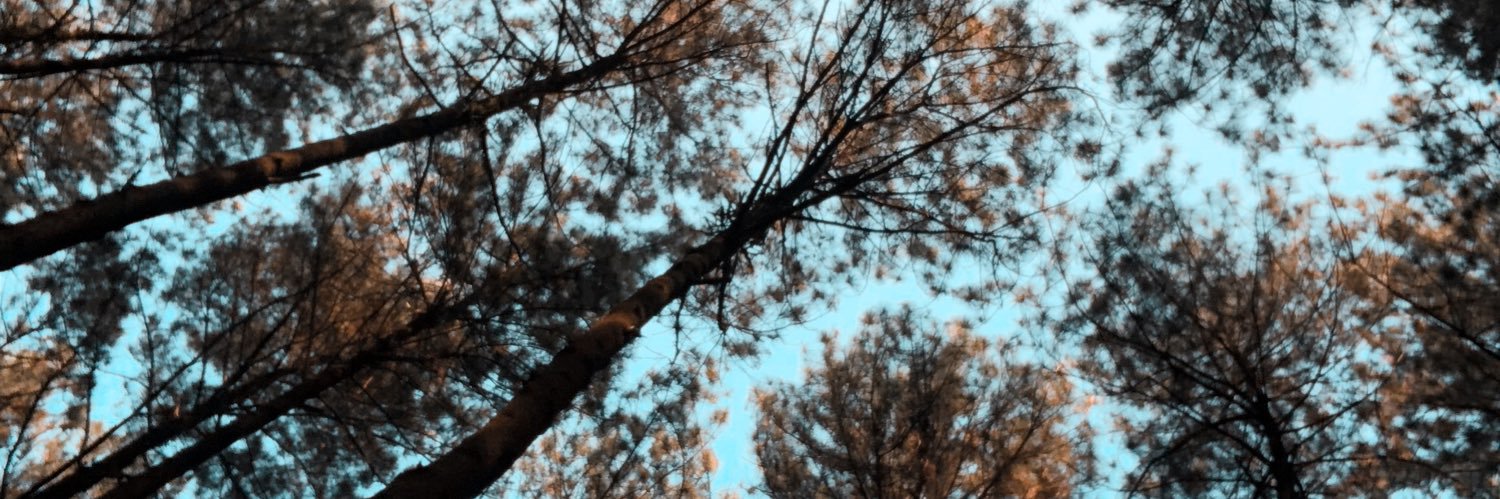 daneezrr's profile banner image