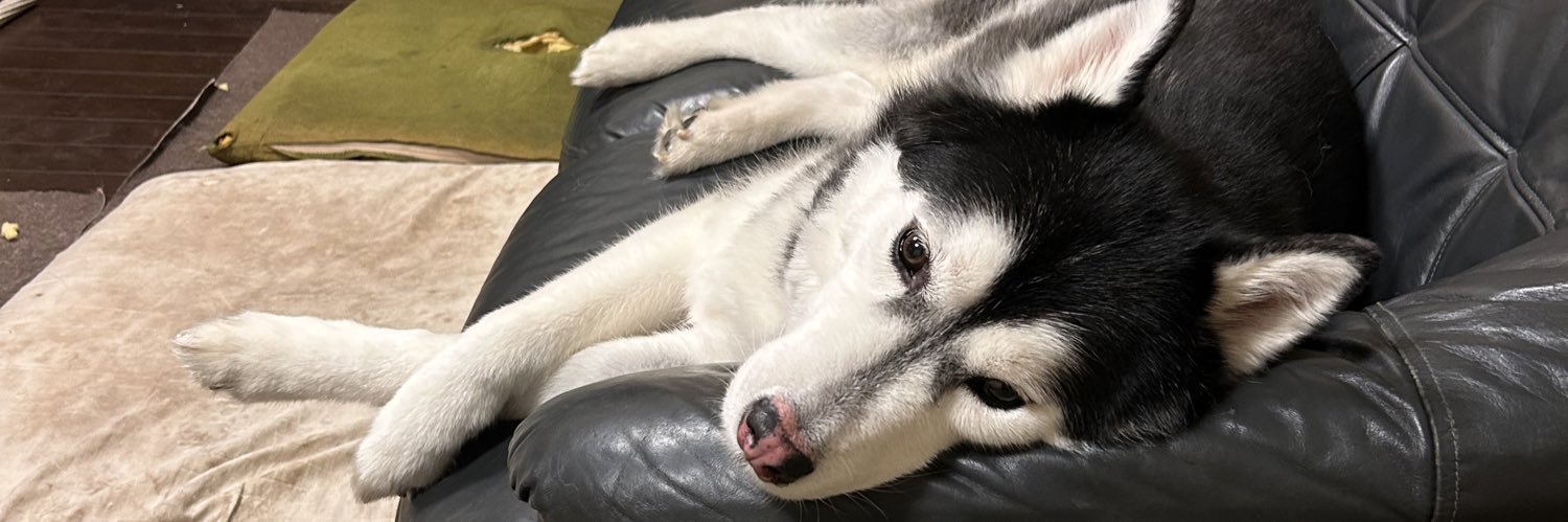 ウィルバイン banner