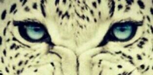 nooe's profile banner image