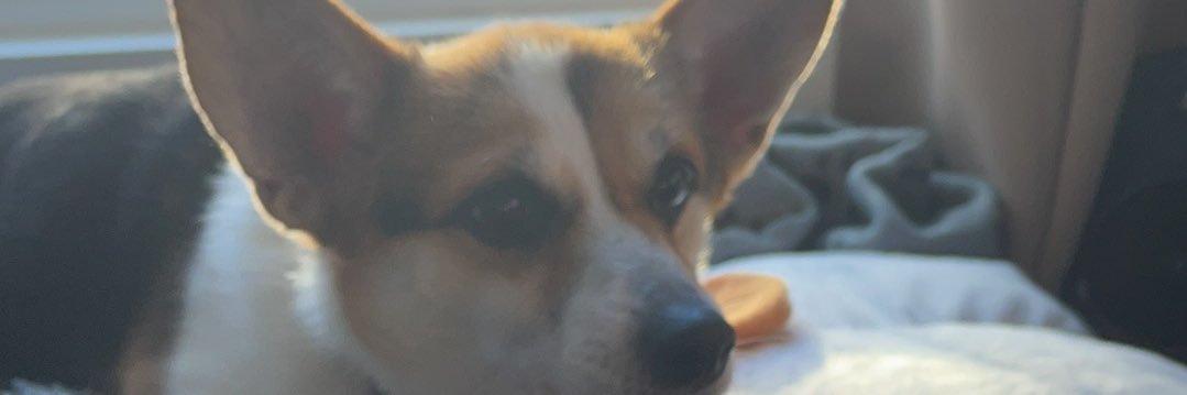 iarekim's profile banner image