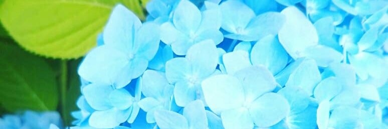 0w0_nabe's profile banner image