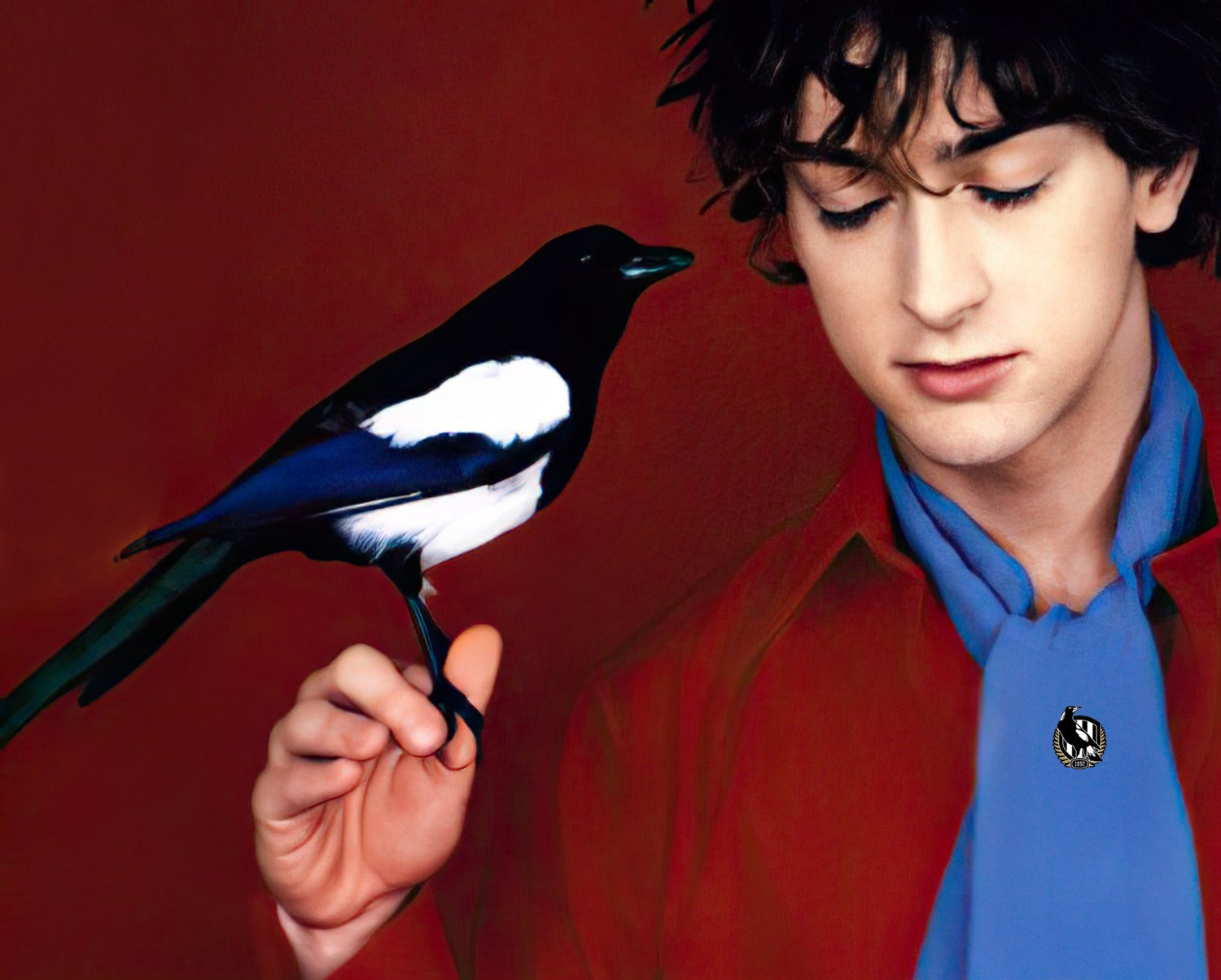 Ross Appleby-🏆🏆🏆 banner